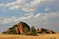 Serengeti Kopjes